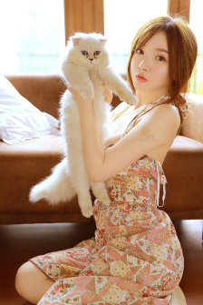 后宫露营